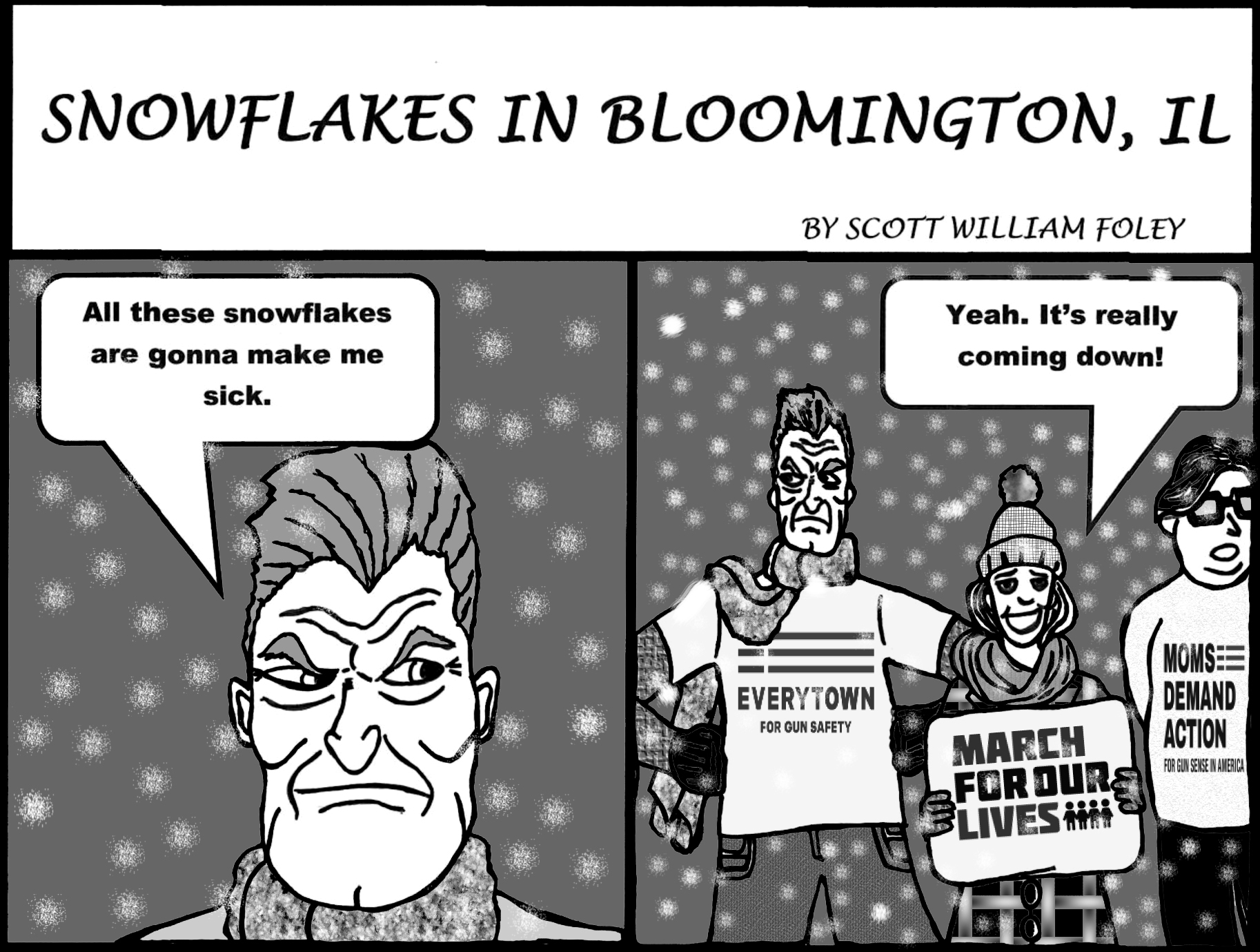 snowflakes in bloomington il